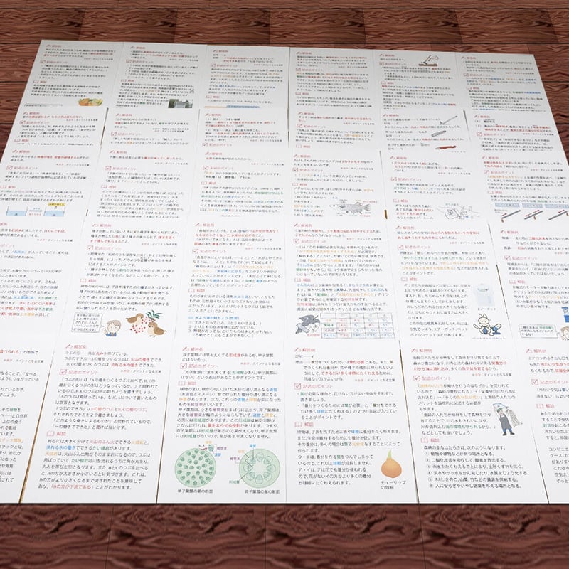 東京都立白鷗高等学校附属中学校版 志望校別お買い得セット 東京都立白