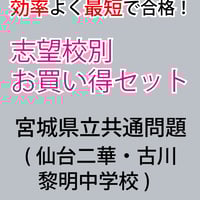 ☆公立中高一貫校 適性検査 最強の作文対策集＋まとめカード