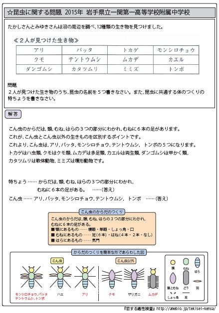 セットでお買い得！全国公立中高一貫校 適性検査 テーマ別