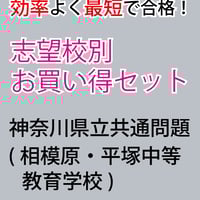 お買い得３点セット！適性検査 社会・資料分析問題がよくわかる過去問解説カード お買い得3点セット！ 適性検査 社会・資料分析問題題が楽しく