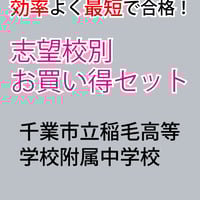 最強の作文対策集＋まとめカード ☆公立中高一貫校 適性検査 最強の