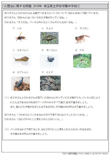 こん虫とみぢかな生き物　理科がよくわかるクイズの本1 入手困難品格安クーポン限定 理科がよくわかるクイズの本 1 | 佐藤 正彦 |本 | 通販 | Amazon