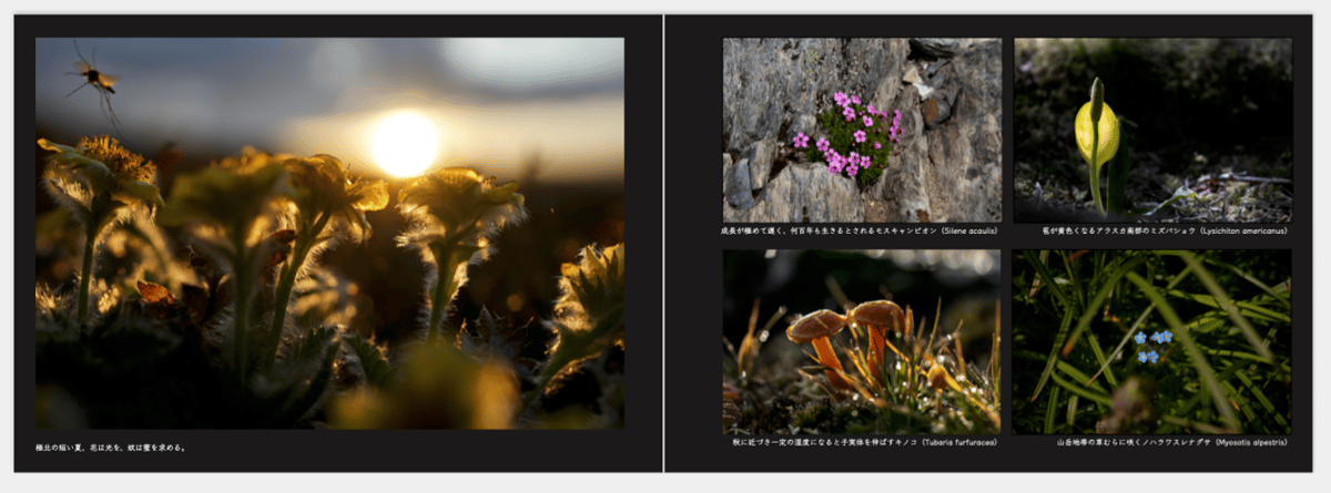 写真集】命のめぐり Nature in Alaska A4カラー印刷 120ページ | 中島