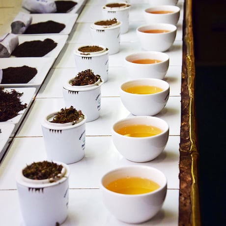 紅茶 ヌワラエリア 50g 【ラバーズリープ茶園】   2026年 ピーククオリティーシーズン新茶 NuwaraEliya