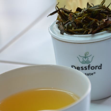 紅茶  アボッツフォード スペシャル 40g 【 特別製造茶 】2026年春茶 新茶