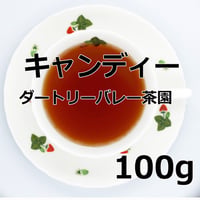 紅茶 キャンディー100g 【ダートリーバレー茶園 】 2026年 ピーククオリティーシーズン新茶 Kandy