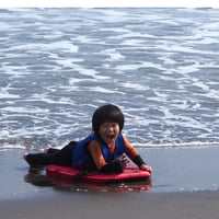QCDボディーボード2026 SOL | surfshop Rikky's