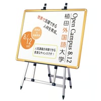 EX-168（ステンカラー / ゴールド / ブラック）