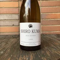 シロクマ 2023／イリア・オテロ・マソイ