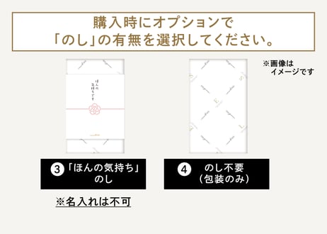 【御中元のし対応 ギフト】ガトーセレクション ホワイトS 10個入