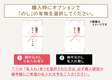 【御中元のし対応 ギフト】ガトーセレクション ホワイトS 10個入