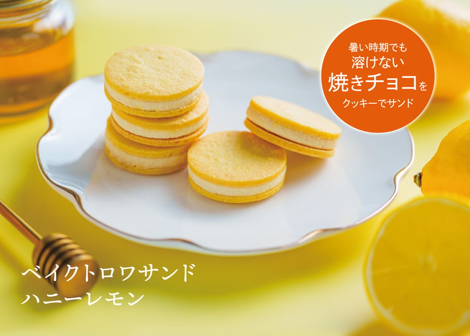 6847ccf7fe9350232c14c6f4