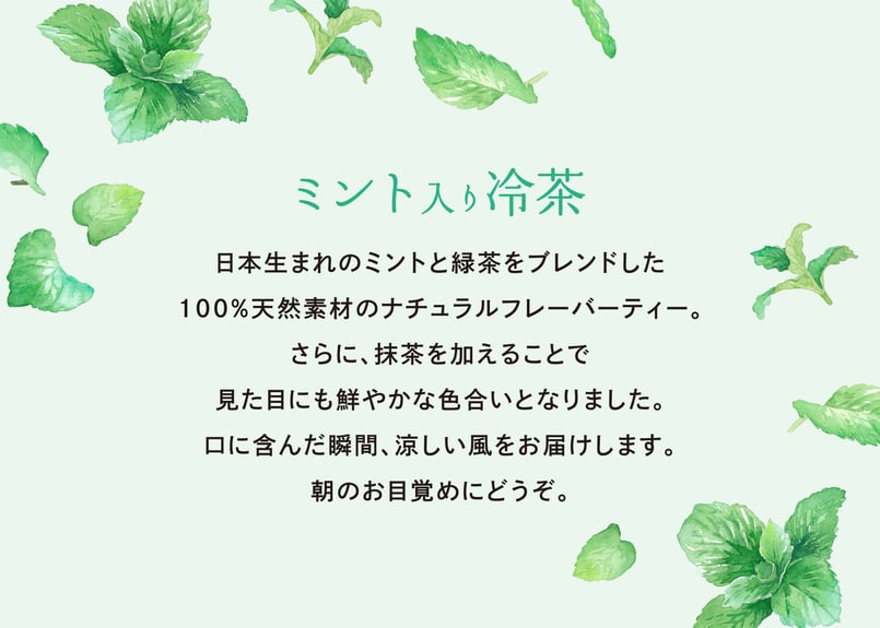 ミント入り冷茶 ティーバッグ（5gタグ無し）×10個 | TAKEZAWA SELECT タ