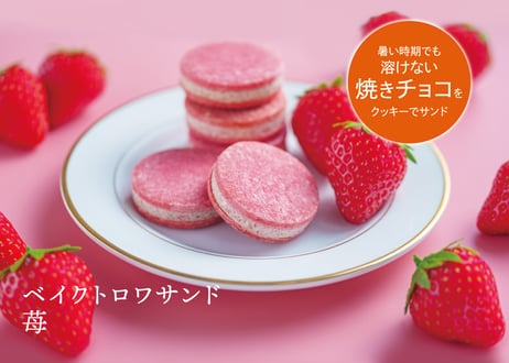 【御中元のし対応 ギフト】ガトーセレクション ホワイトL 28個入