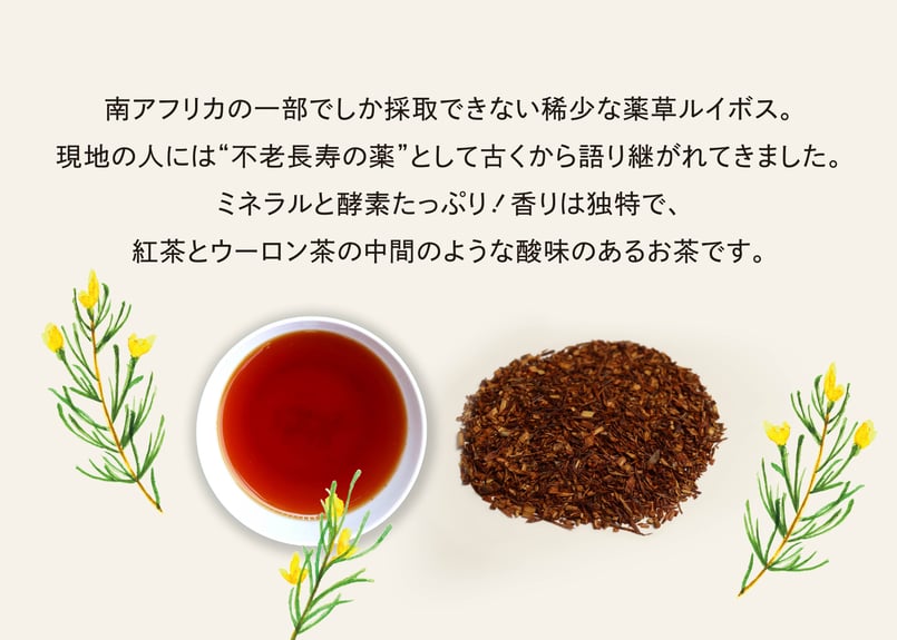 chasobi ルイボスティー ティーバッグ （3gタグ付き）×10個 | TAKEZAWA