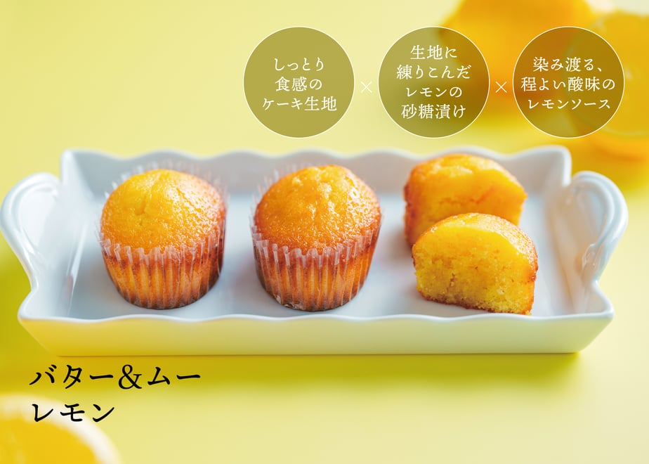 6847cfa4057a685c2a406c04