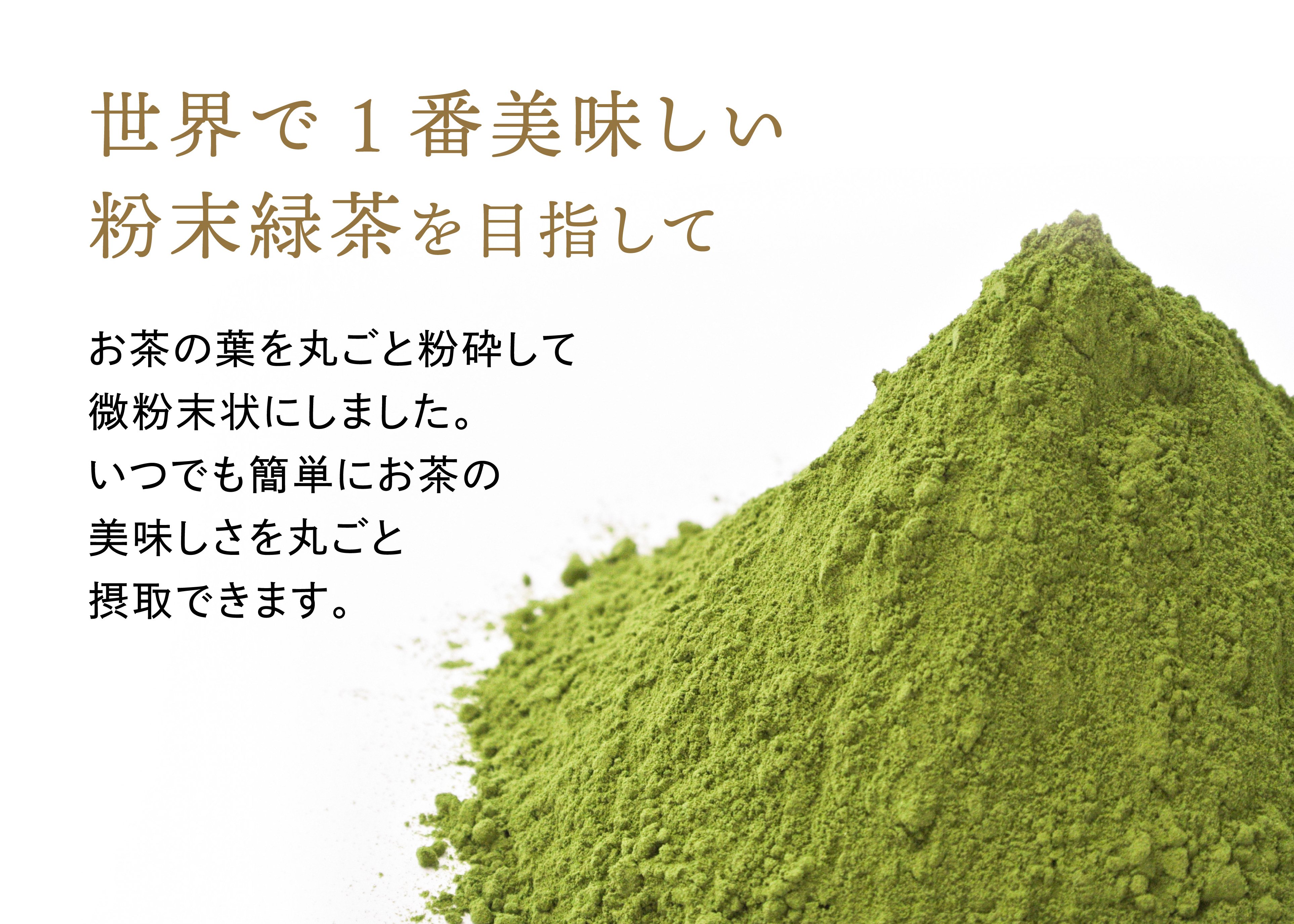 茶柱くんの粉末緑茶 紙缶入（50g） | TAKEZAWA SELECT タケザワ