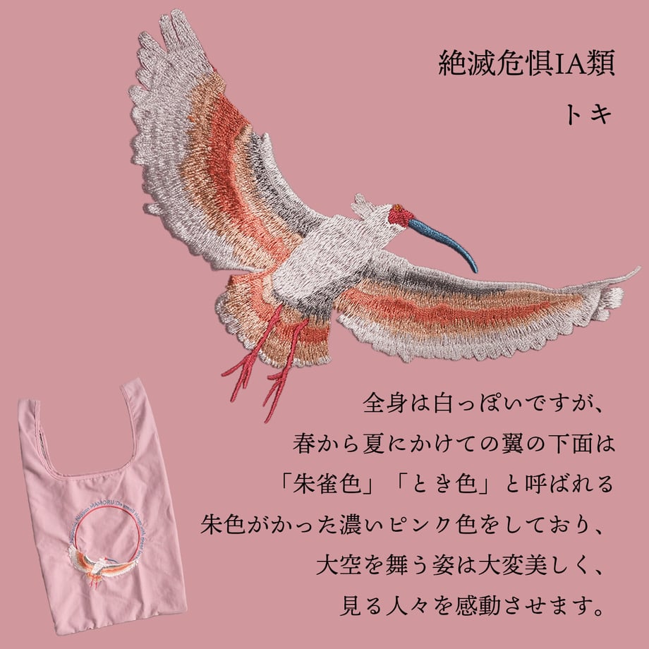 627c8425d175136bf5ae7e7c