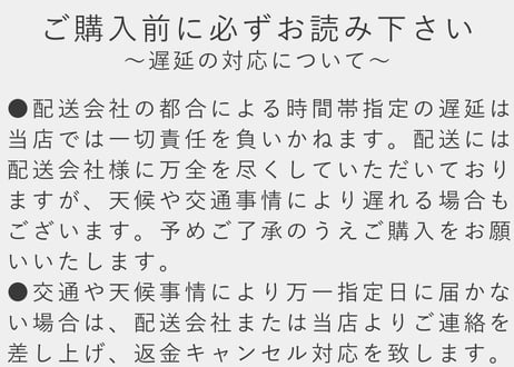 旬の鮮魚おまかせセット【送料別】【今季のブリ漁は終了致しました】