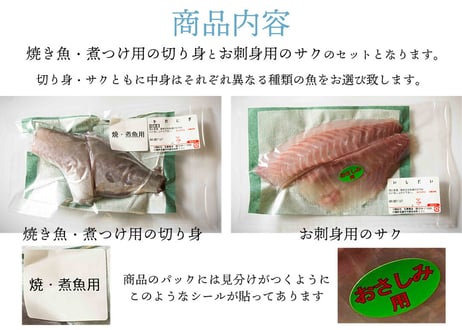 旬の鮮魚おまかせセット【送料別】【今季のブリ漁は終了致しました】