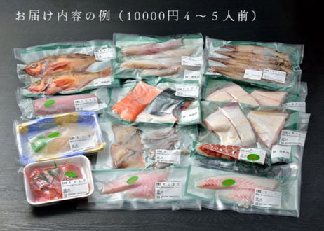 旬の鮮魚おまかせセット【送料別】【今季のブリ漁は終了致しました】