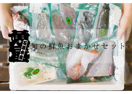 旬の鮮魚おまかせセット【送料別】【今季のブリ漁は終了致しました】