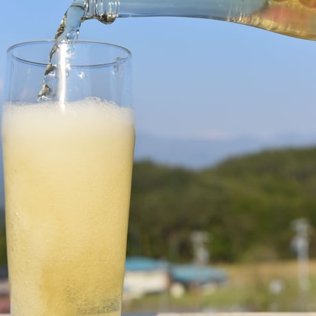 スパークリングアップルジュース　330ml 3本セット