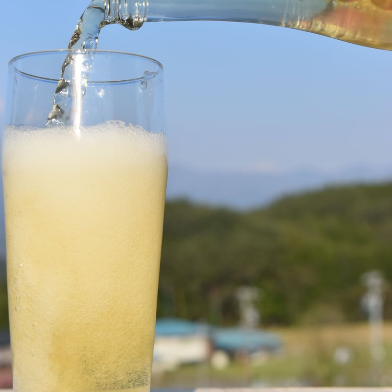 スパークリングアップルジュース 330ml 3本セット | FARM&CIDERY KANES