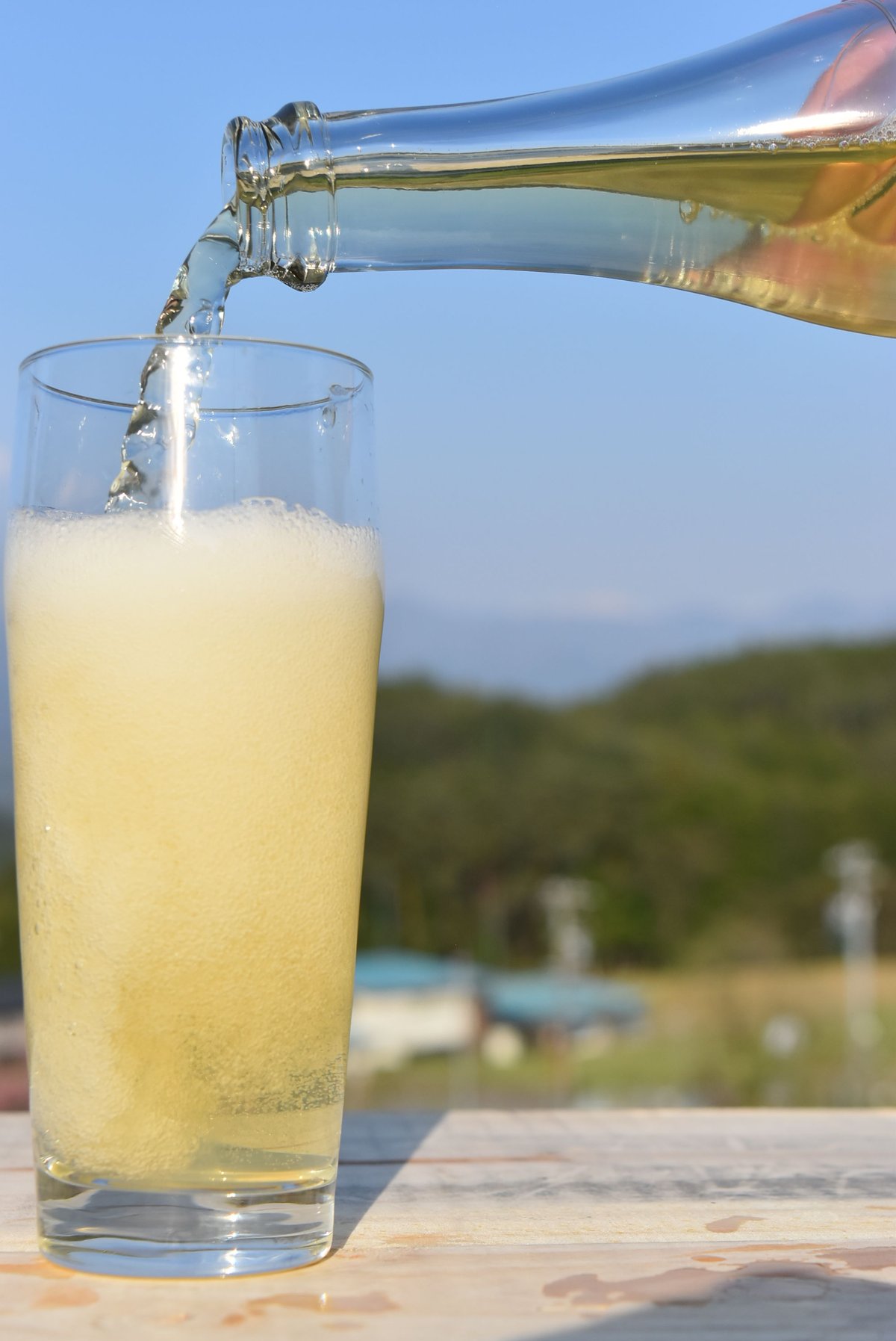 ERINA アップルピーチ・クランベリー アロエ濃縮ジュース 900ml
