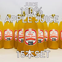 100％りんごジュース　1L 15本入り