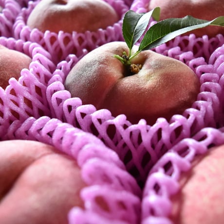CATEGORY 果物 | FARM&CIDERY KANESHIGE STORE