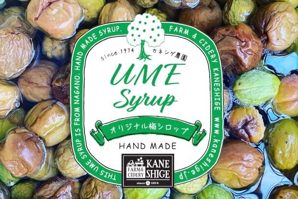 梅シロップ 330ml 3本SET | FARM&CIDERY KANESHIGE STORE