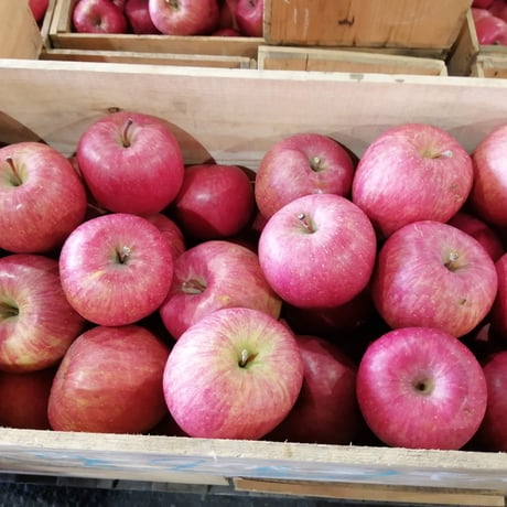 数量限定　葉とらずサンふじりんご　家庭用　10ｋｇ　傷あり