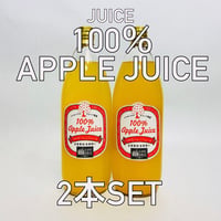100％りんごジュース　1L ２本入り