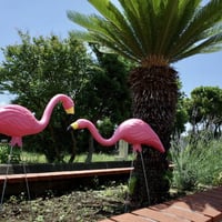新品 ピンクフラミンゴ ２体セット アメリカ製 ガーデニング 世田谷ベース インテリア アメリカンハウス 庭 芝生 お店