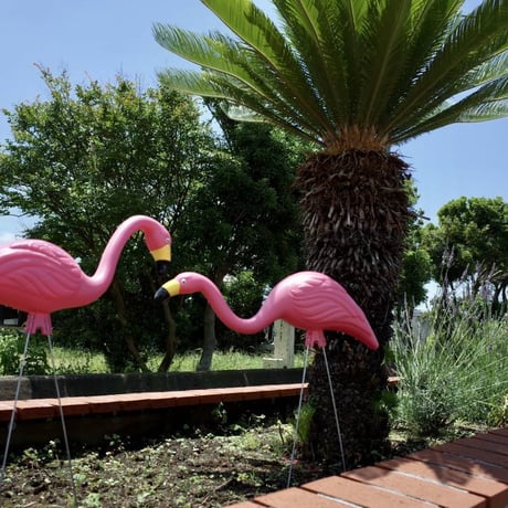 CATEGORY OUTDOOR、GARAGE | Collection Market