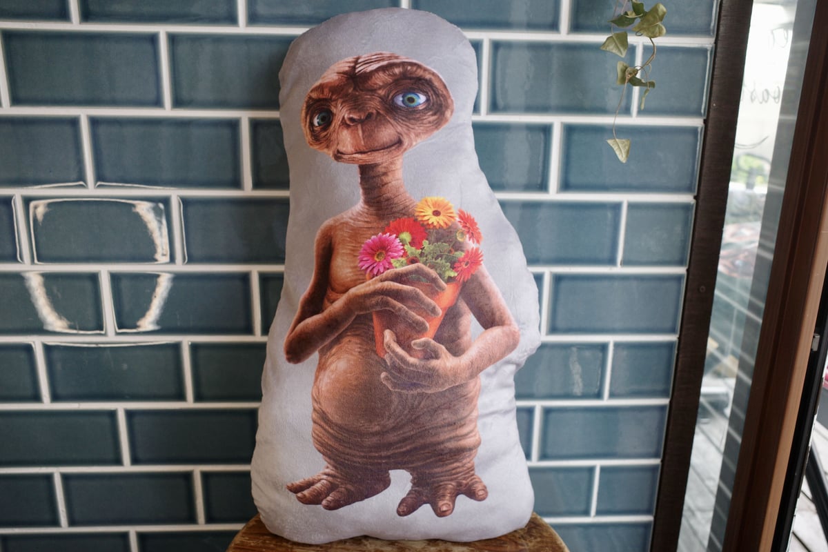 E.T. ダイカットクッション Bouquet | Collection Market