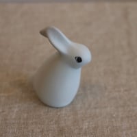 Helja Liukko Sudstrom aitijanis(mother rabbit)