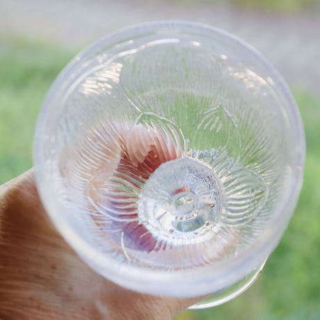 Nuutajärvi  Pioni wine glass
