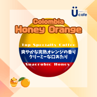 コロンビア ハニーオレンジ(100g)