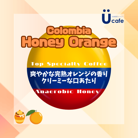 コロンビア ハニーオレンジ(100g)