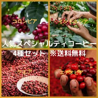 人気スペシャルティコーヒーセット (100g×４種) ※送料無料　※1世帯1回限定