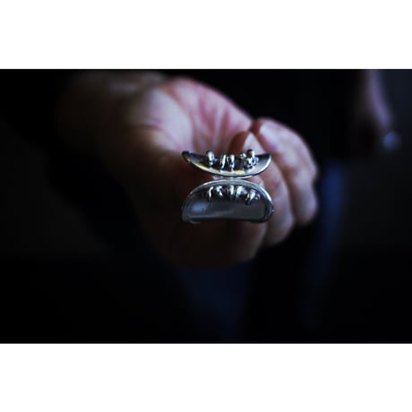 RING02-TALISMAN kalensilver / WONDER FULL LIFE × accessories mau