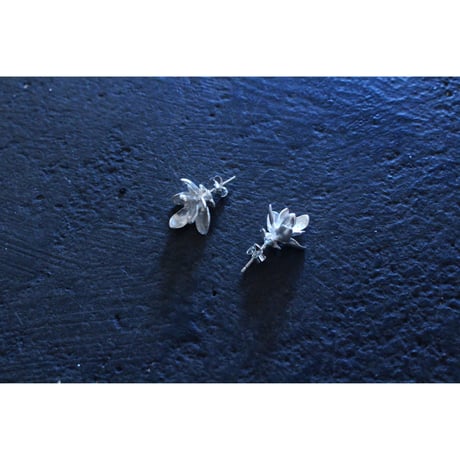 mokuren pierce / Nakamura Nazuki