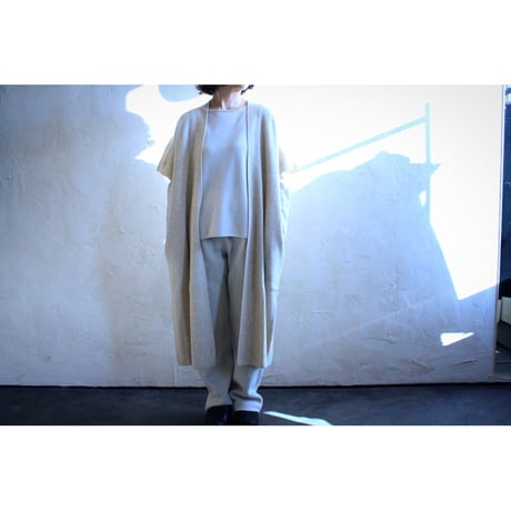press wool pants / evam eva