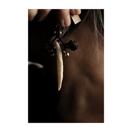 CATEGORY WONDER FULL LIFE | SoL