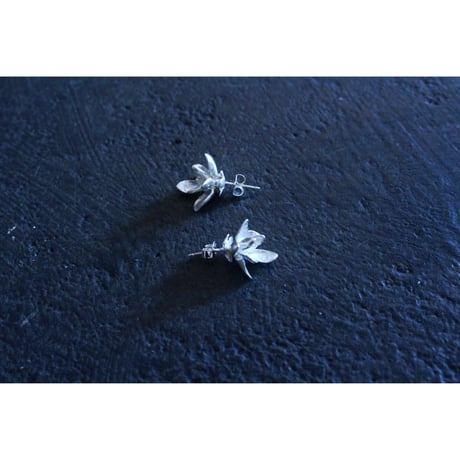 mokuren pierce / Nakamura Nazuki