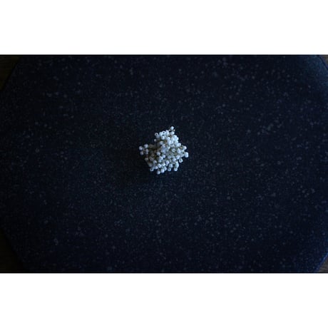 始まりの時 earring-S / FUA accessory