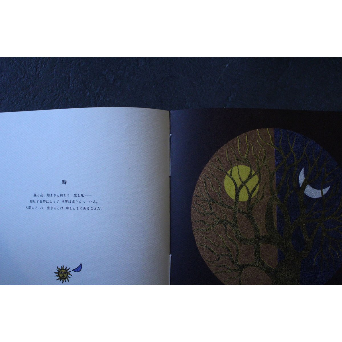 世界のはじまり(第4刷) / タムラ堂 | SoL