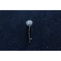 shirotumekusa brooch / Nakamura Nazuki